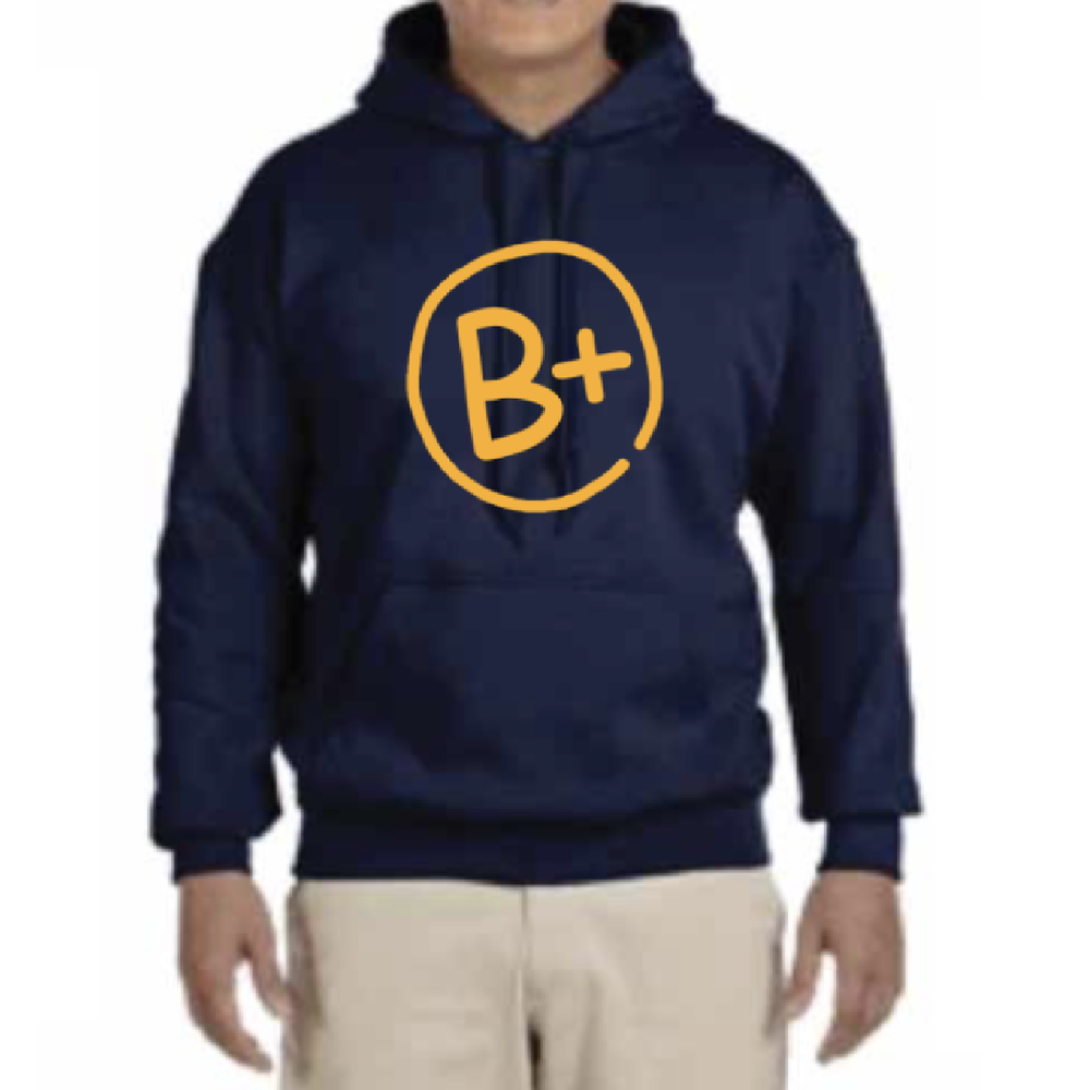 Logo Hoodie — B+ | Fighting Childhood Cancer